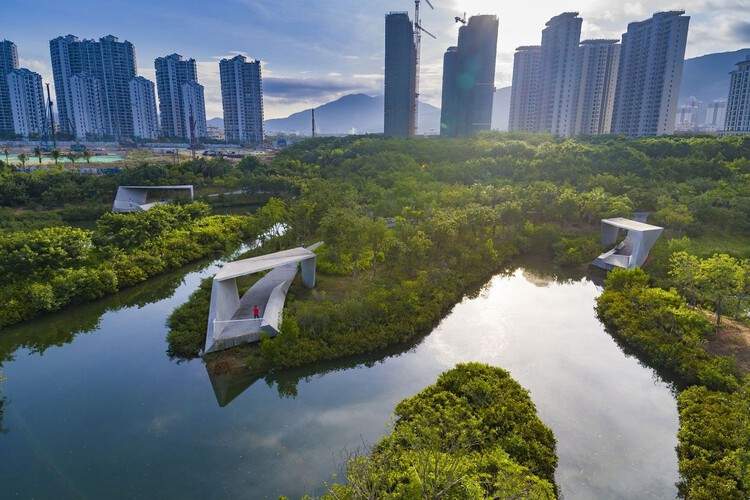 “海绵城市”概念提出者俞孔坚于巴西空难中不幸离世 - 2 的图像 6