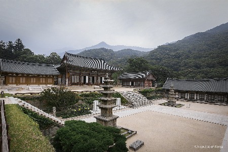 最高:交800抵2000|有方2026旅行预订优惠开放(图52) 最高:交800抵2000|有方2026旅行预订优惠开放(图52)