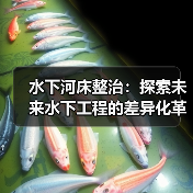 水下河床整治:探索未来水下工程的差异化革新(图2) 水下河床整治:探索未来水下工程的差异化革新(图2)