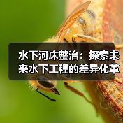 水下河床整治:探索未来水下工程的差异化革新(图3) 水下河床整治:探索未来水下工程的差异化革新(图3)