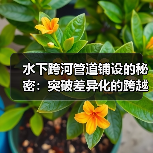 水下跨河管道铺设的秘密:突破差异化的跨越艺术(图3) 水下跨河管道铺设的秘密:突破差异化的跨越艺术(图3)