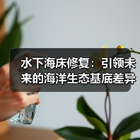 水下海床修复:引领未来的海洋生态基底差异化新变革(图4) 水下海床修复:引领未来的海洋生态基底差异化新变革(图4)