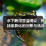 水下跨河管道铺设:跨越差异化的创新与挑战(图4) 水下跨河管道铺设:跨越差异化的创新与挑战(图4)