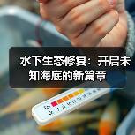 水下生态修复：开启未知海底的新篇章（图3）