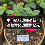 水下驳船运输革新:打造差异化运载新纪元 水下驳船运输革新:打造差异化运载新纪元