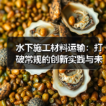 水下施工材料运输:打破常规的创新实践与未来趋势(图2) 水下施工材料运输:打破常规的创新实践与未来趋势(图2)