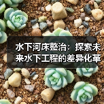 水下河床整治:探索未来水下工程的差异化革新 水下河床整治:探索未来水下工程的差异化革新