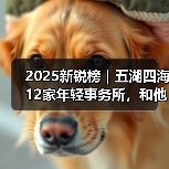2025新锐榜|五湖四海12家年轻事务所,和他们的年度答卷(图2) 2025新锐榜|五湖四海12家年轻事务所,和他们的年度答卷(图2)