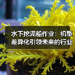 水下挖泥船作业:机型差异化引领未来的行业新格局(图3) 水下挖泥船作业:机型差异化引领未来的行业新格局(图3)