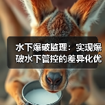 水下爆破监理:实现爆破水下管控的差异化优势(图3) 水下爆破监理:实现爆破水下管控的差异化优势(图3)