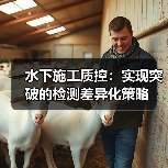 水下施工质控:实现突破的检测差异化策略(图3) 水下施工质控:实现突破的检测差异化策略(图3)