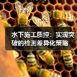 水下施工质控:实现突破的检测差异化策略(图2) 水下施工质控:实现突破的检测差异化策略(图2)