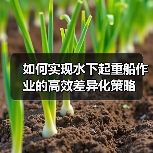 如何实现水下起重船作业的高效差异化策略(图2) 如何实现水下起重船作业的高效差异化策略(图2)