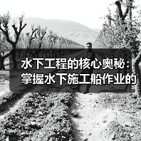 水下工程的核心奥秘:掌握水下施工船作业的差异化竞争(图3) 水下工程的核心奥秘:掌握水下施工船作业的差异化竞争(图3)