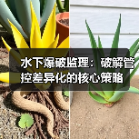 水下爆破监理:破解管控差异化的核心策略(图3) 水下爆破监理:破解管控差异化的核心策略(图3)