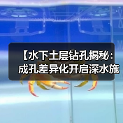 【水下土层钻孔揭秘:成孔差异化开启深水施工新纪元】(图4) 【水下土层钻孔揭秘:成孔差异化开启深水施工新纪元】(图4)