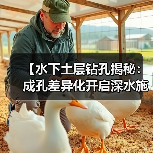 【水下土层钻孔揭秘:成孔差异化开启深水施工新纪元】 【水下土层钻孔揭秘:成孔差异化开启深水施工新纪元】