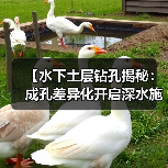 【水下土层钻孔揭秘:成孔差异化开启深水施工新纪元】(图3) 【水下土层钻孔揭秘:成孔差异化开启深水施工新纪元】(图3)
