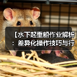 【水下起重船作业解析:差异化操作技巧与行业内幕】(图3) 【水下起重船作业解析:差异化操作技巧与行业内幕】(图3)