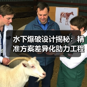 水下爆破设计揭秘:精准方案差异化助力工程突破(图2) 水下爆破设计揭秘:精准方案差异化助力工程突破(图2)