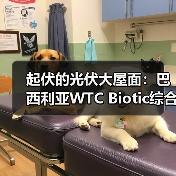 起伏的光伏大屋面:巴西利亚WTC Biotic综合体在建方案(图2) 起伏的光伏大屋面:巴西利亚WTC Biotic综合体在建方案(图2)