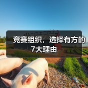 竞赛组织,选择有方的7大理由(图4) 竞赛组织,选择有方的7大理由(图4)