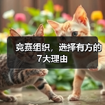 竞赛组织,选择有方的7大理由(图4) 竞赛组织,选择有方的7大理由(图4)