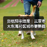 资格预审结果|三亚市大东海片区城市更新概念规划设计国际竞赛 资格预审结果|三亚市大东海片区城市更新概念规划设计国际竞赛