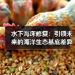 水下海床修复:引领未来的海洋生态基底差异化新变革(图3) 水下海床修复:引领未来的海洋生态基底差异化新变革(图3)
