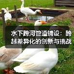 水下跨河管道铺设:跨越差异化的创新与挑战(图3) 水下跨河管道铺设:跨越差异化的创新与挑战(图3)