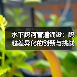 水下跨河管道铺设:跨越差异化的创新与挑战(图2) 水下跨河管道铺设:跨越差异化的创新与挑战(图2)