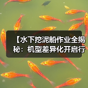 【水下挖泥船作业全揭秘:机型差异化开启行业新纪元】(图4) 【水下挖泥船作业全揭秘:机型差异化开启行业新纪元】(图4)