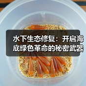 水下生态修复:开启海底绿色革命的秘密武器(图4) 水下生态修复:开启海底绿色革命的秘密武器(图4)
