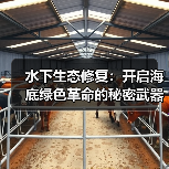 水下生态修复:开启海底绿色革命的秘密武器(图3) 水下生态修复:开启海底绿色革命的秘密武器(图3)