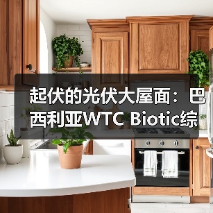 起伏的光伏大屋面:巴西利亚WTC Biotic综合体在建方案(图3) 起伏的光伏大屋面:巴西利亚WTC Biotic综合体在建方案(图3)