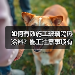 如何有效施工玻璃隔热涂料?施工注意事项有哪些?(图2) 如何有效施工玻璃隔热涂料?施工注意事项有哪些?(图2)