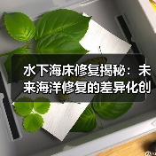 水下海床修复揭秘:未来海洋修复的差异化创新之路 水下海床修复揭秘:未来海洋修复的差异化创新之路