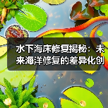 水下海床修复揭秘:未来海洋修复的差异化创新之路(图3) 水下海床修复揭秘:未来海洋修复的差异化创新之路(图3)