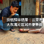 资格预审结果|三亚市大东海片区城市更新概念规划设计国际竞赛(图2) 资格预审结果|三亚市大东海片区城市更新概念规划设计国际竞赛(图2)