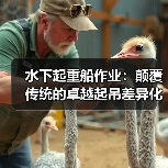 水下起重船作业:颠覆传统的卓越起吊差异化攻略(图4) 水下起重船作业:颠覆传统的卓越起吊差异化攻略(图4)