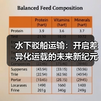 水下驳船运输:开启差异化运载的未来新纪元(图2) 水下驳船运输:开启差异化运载的未来新纪元(图2)