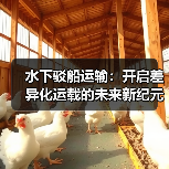 水下驳船运输:开启差异化运载的未来新纪元(图3) 水下驳船运输:开启差异化运载的未来新纪元(图3)