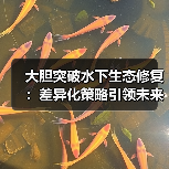 大胆突破水下生态修复:差异化策略引领未来水下生态工程(图4) 大胆突破水下生态修复:差异化策略引领未来水下生态工程(图4)