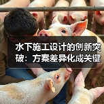 水下施工设计的创新突破:方案差异化成关键制胜法宝(图2) 水下施工设计的创新突破:方案差异化成关键制胜法宝(图2)