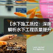 【水下施工质控:深度解析水下工程质量提升的秘密】(图4) 【水下施工质控:深度解析水下工程质量提升的秘密】(图4)