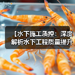 【水下施工质控:深度解析水下工程质量提升的秘密】(图3) 【水下施工质控:深度解析水下工程质量提升的秘密】(图3)