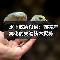 水下应急打捞:救援差异化的关键技术揭秘(图2) 水下应急打捞:救援差异化的关键技术揭秘(图2)