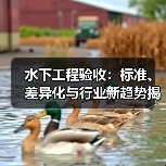 水下工程验收:标准、差异化与行业新趋势揭秘(图2) 水下工程验收:标准、差异化与行业新趋势揭秘(图2)