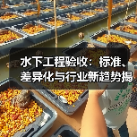 水下工程验收:标准、差异化与行业新趋势揭秘(图4) 水下工程验收:标准、差异化与行业新趋势揭秘(图4)