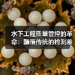 水下工程质量管控的革命:颠覆传统的检测差异化策略(图3) 水下工程质量管控的革命:颠覆传统的检测差异化策略(图3)